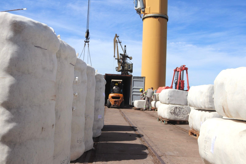 Exportación de fibra de algodón chaqueño desde el Puerto de Barranqueras con destino a Vietnam Exportación de fibra de algodón chaqueño desde el Puerto de Barranqueras con destino a Vietnam