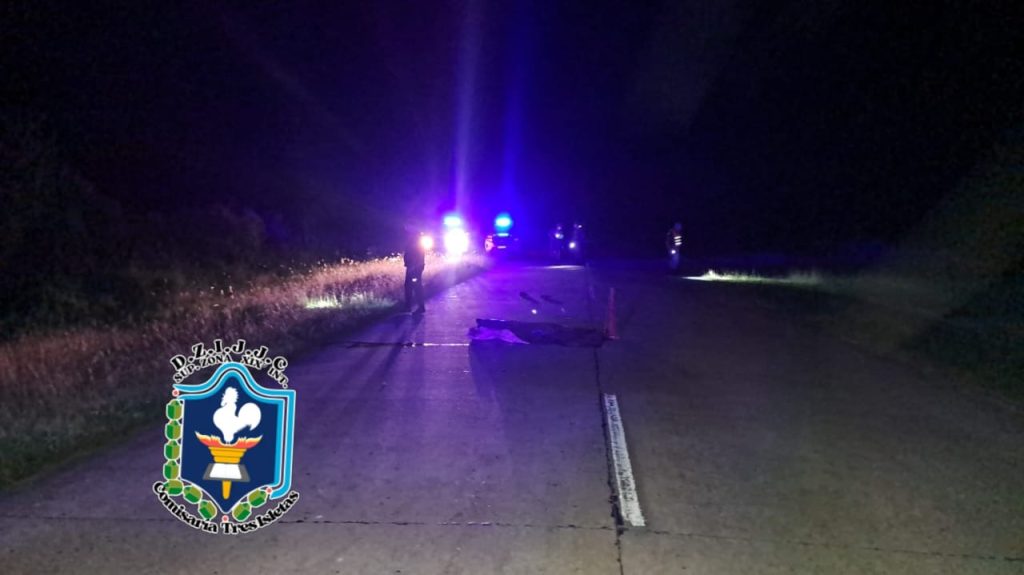Un hombre murió al ser embestido en la Ruta Provincial 9: el conductor, escapó