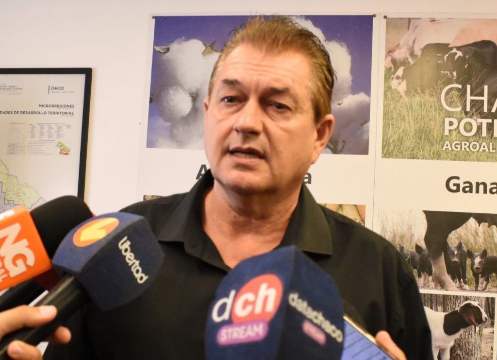 El STJ suspendió la Ley de Ordenamiento Territorial de Bosques Nativos: el gobierno advierte que esto paralizará la actividad forestal del Chaco