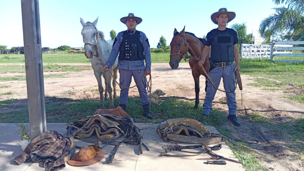 Pampa del Indio: recuperan vacas sustraídas y aprehenden a dos personas por presunto abigeato