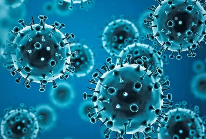 Detectan dos casos de la nueva variante de Influenza A H3N2 en Corrientes Detectan dos casos de la nueva variante de Influenza A H3N2 en Corrientes