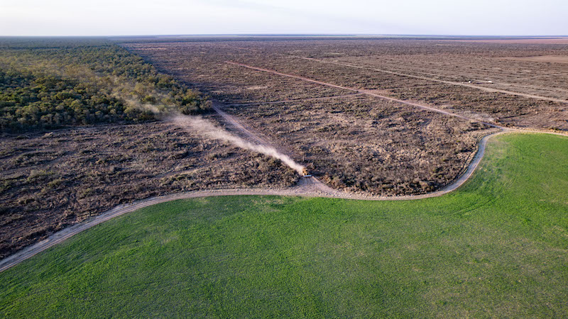 Greenpeace denuncia que creció un 40% la pérdida de bosques en el norte: en Chaco superó las 38 mil hectáreas Greenpeace denuncia que creció un 40% la pérdida de bosques en el norte: en Chaco superó las 38 mil hectáreas