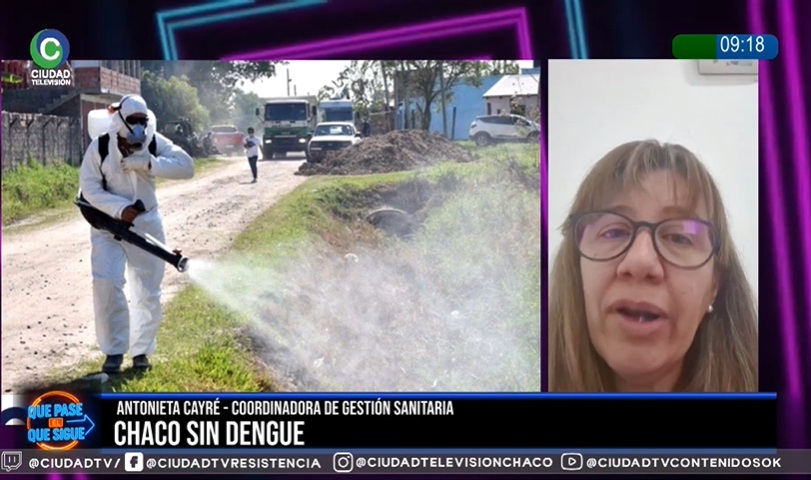 Hasta ahora no hay circulación local de dengue en el Chaco, aseguran desde Salud Hasta ahora no hay circulación local de dengue en el Chaco, aseguran desde Salud