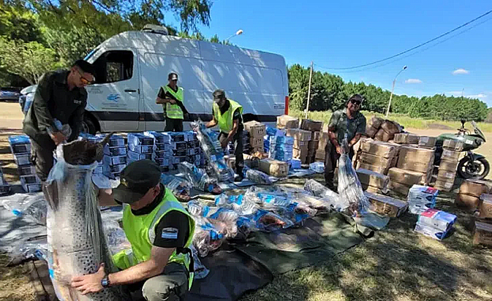 Detienen a conductor chaqueño con millonaria carga ilegal de pescados en Corrientes Detienen a conductor chaqueño con millonaria carga ilegal de pescados en Corrientes