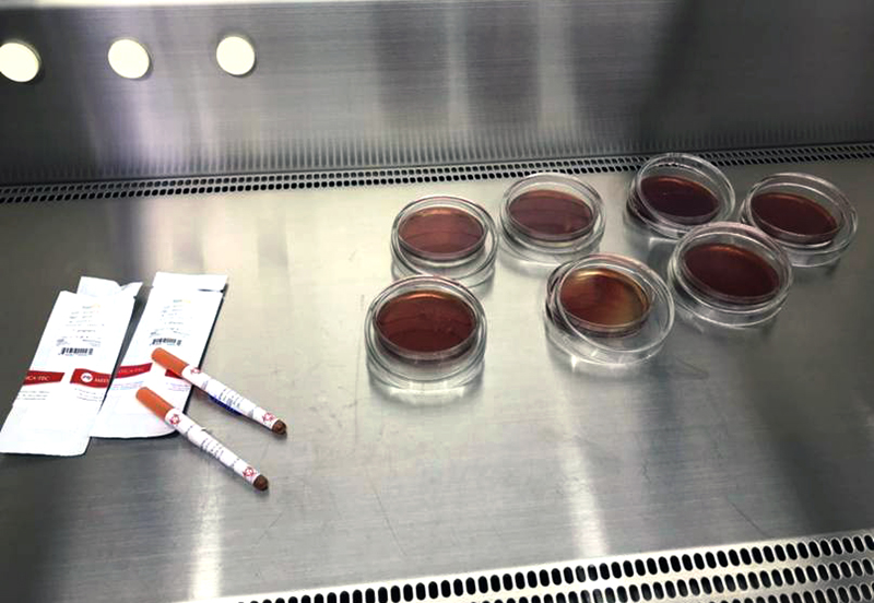 Estudio de la UNNE advierte sobre enfermedad periodontal en embarazadas y sus riesgos Estudio de la UNNE advierte sobre enfermedad periodontal en embarazadas y sus riesgos