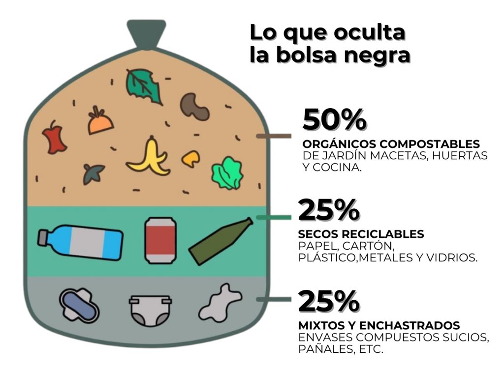 Más Compost, Menos Basura: la campaña internacional que propone transformar residuos en soluciones ambientales