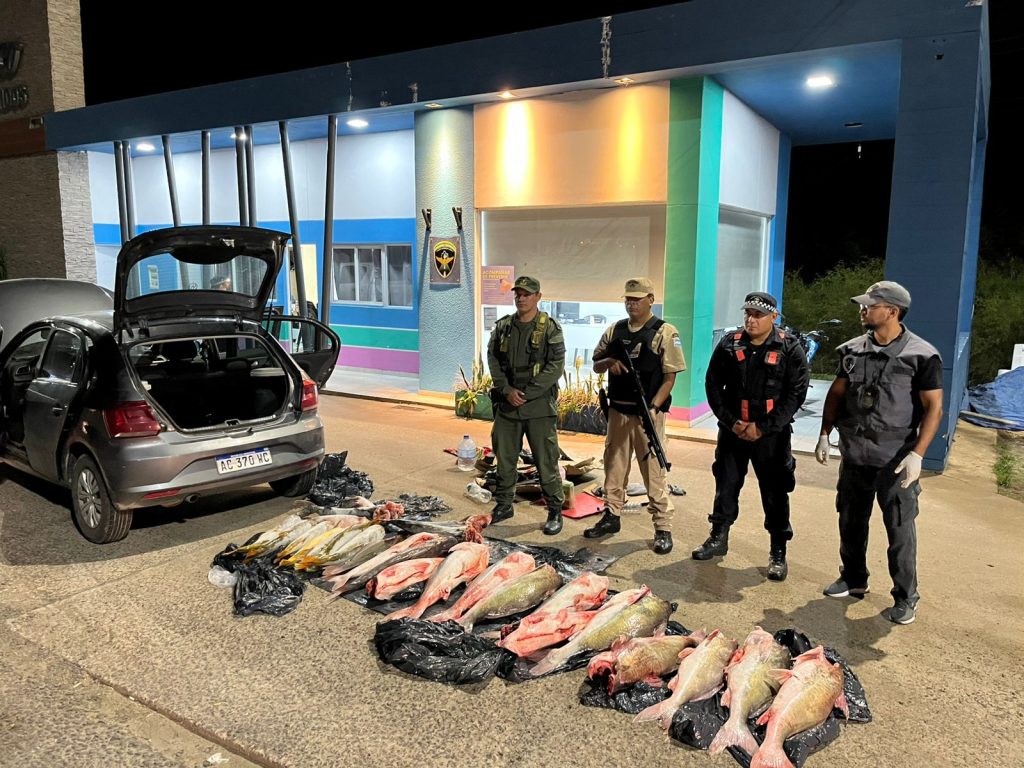 En el peaje del puente Chaco Corrientes, incautaron más de 130 kilos de pescado transportado ilegalmente
